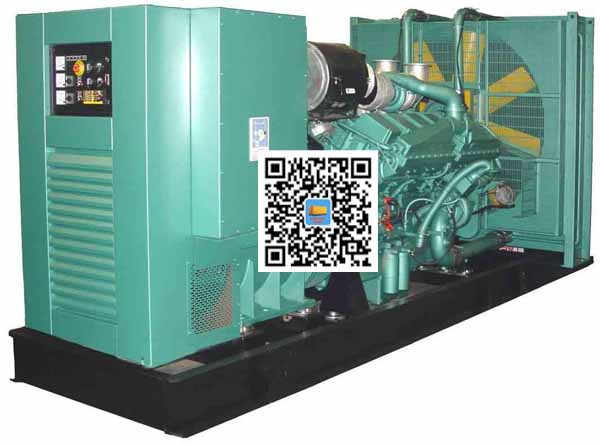 黑水笼型异步发电机的电力电子控制技术